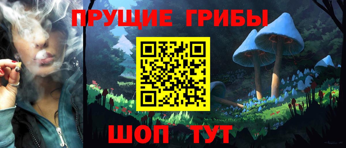 Черногорск  Псилоцибиновые грибы Psilocybe  Вход с VPN  Галлюциногенные грибы Magic Shrooms 